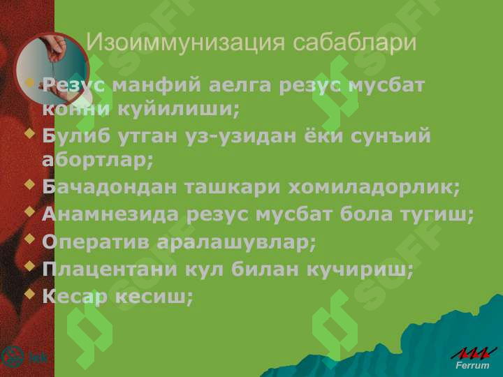 Preview 4