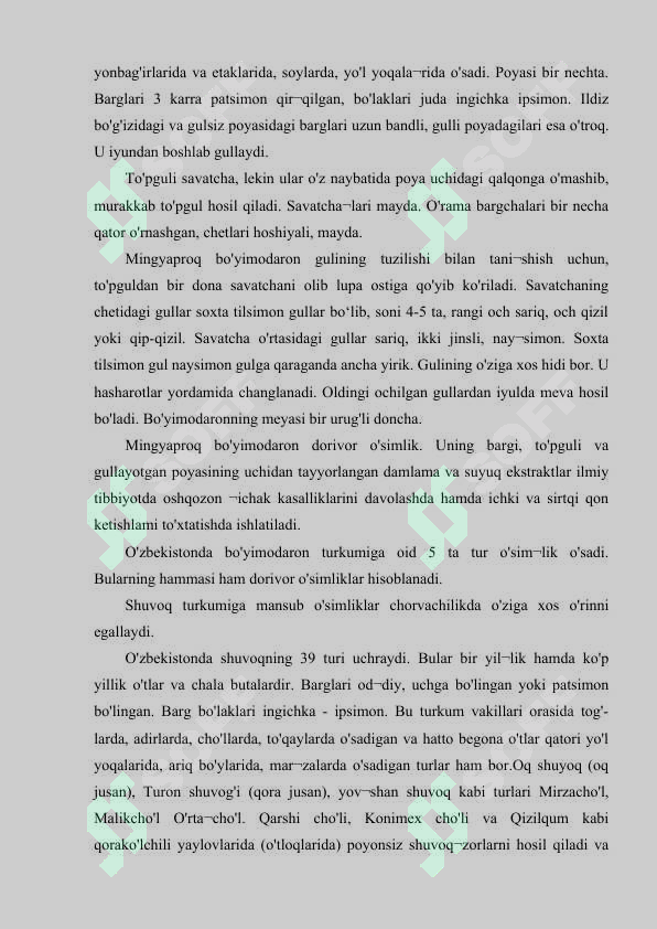 Preview 7