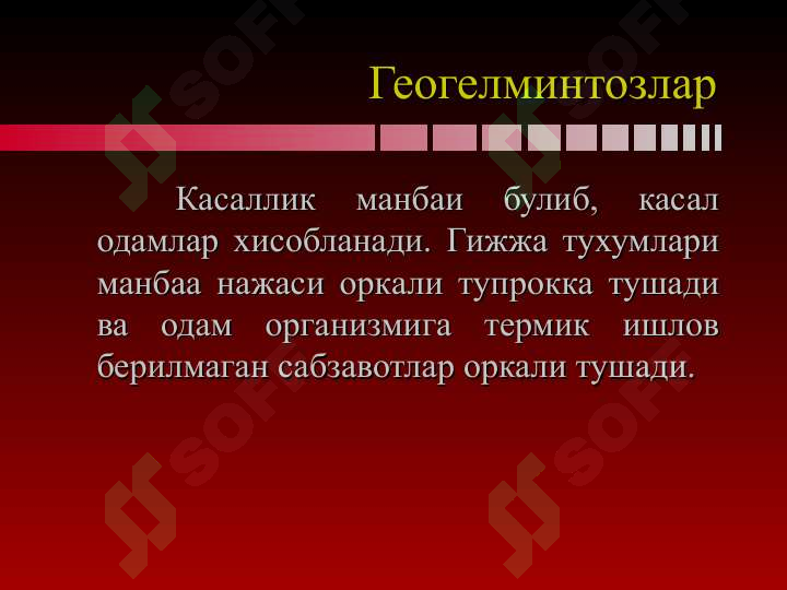 Preview 7