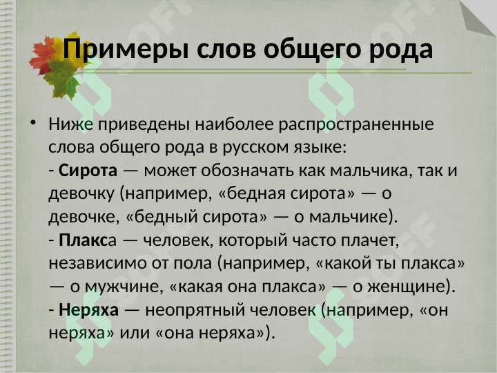 Preview 4