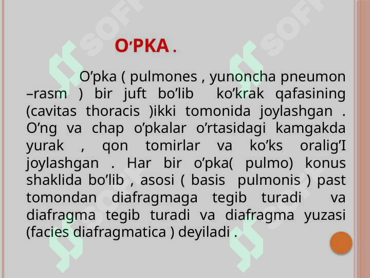 Preview 7