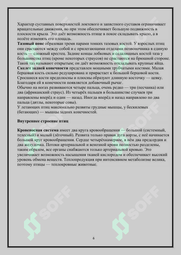 Preview 6