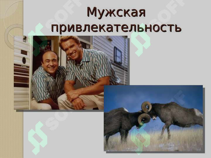 Preview 7