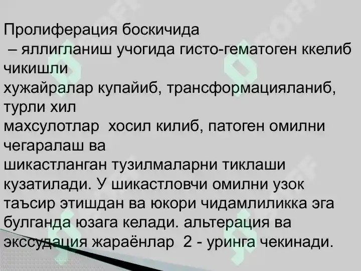 Preview 8