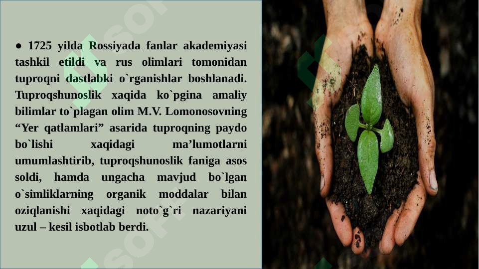 Preview 6
