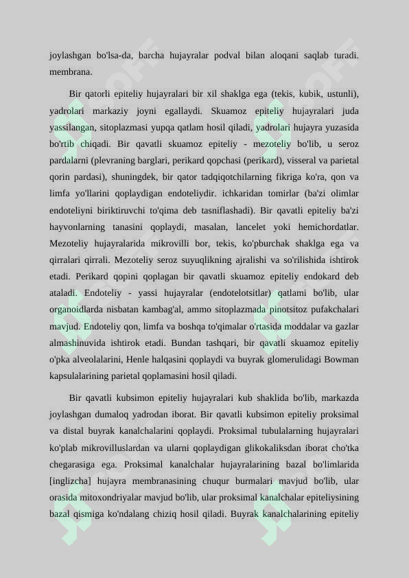 Preview 5
