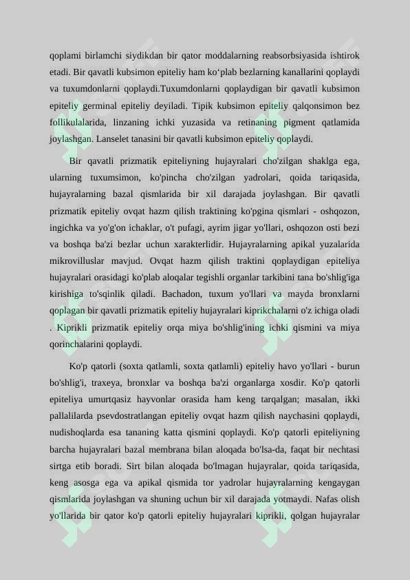 Preview 6