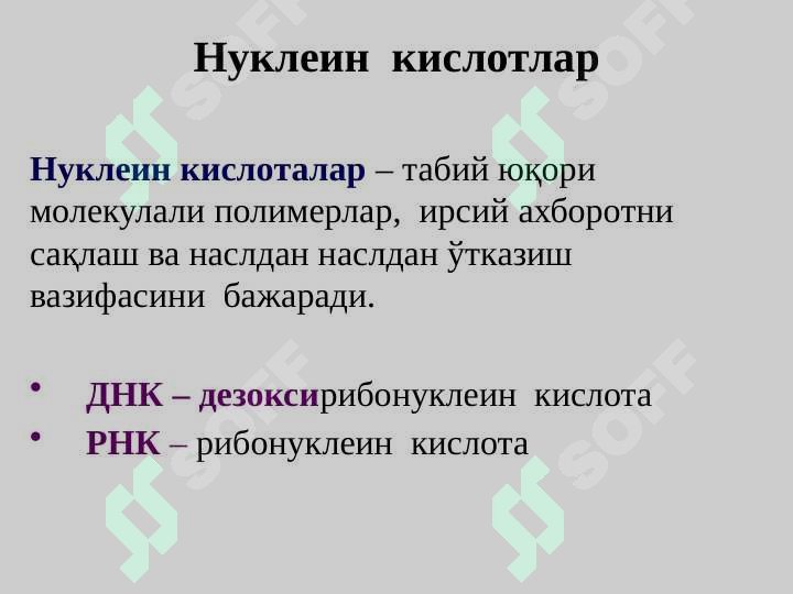 Preview 8