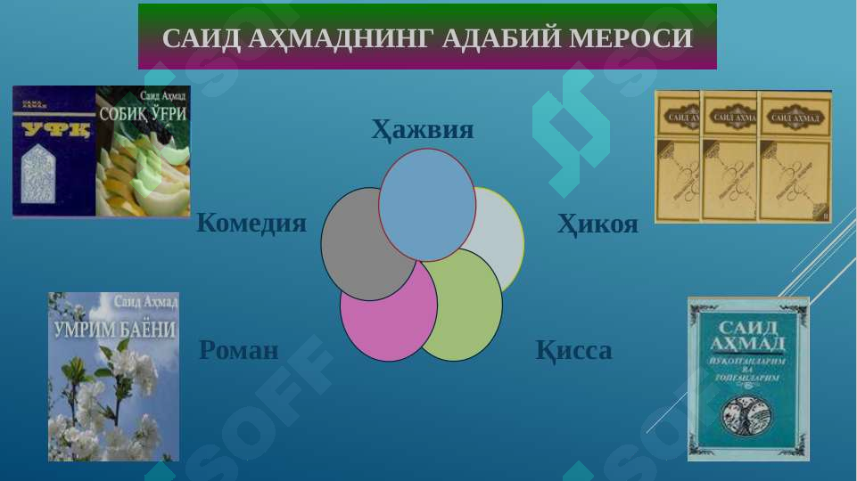 Preview 6