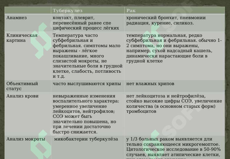 Preview 7