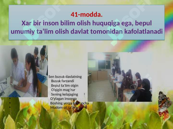 Preview 7