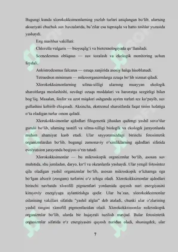 Preview 7