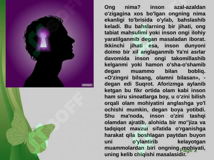 Preview 2