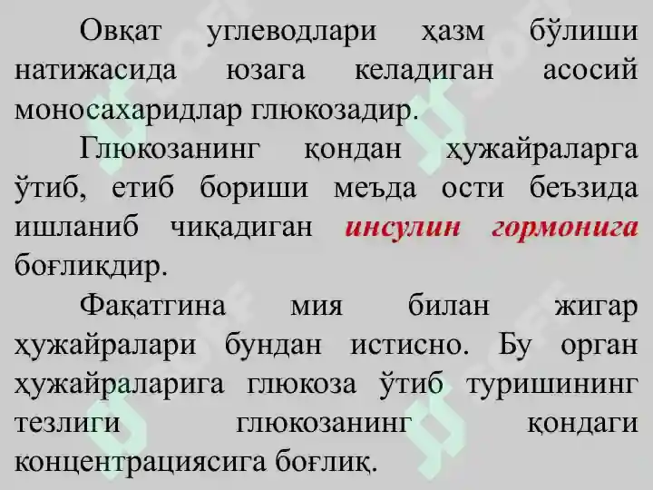 Preview 8