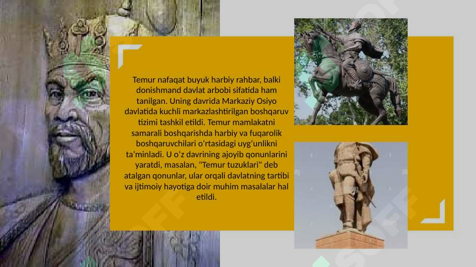 Preview 6
