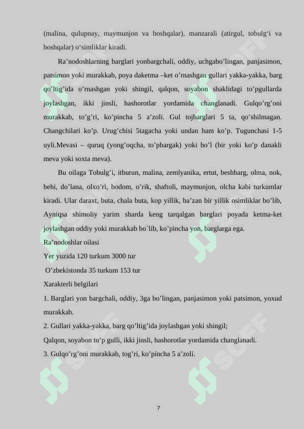 Preview 7