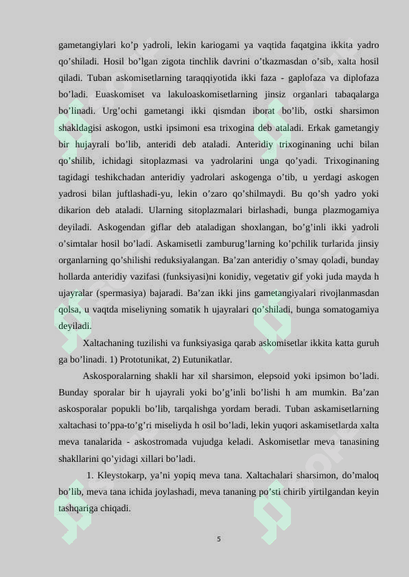 Preview 5