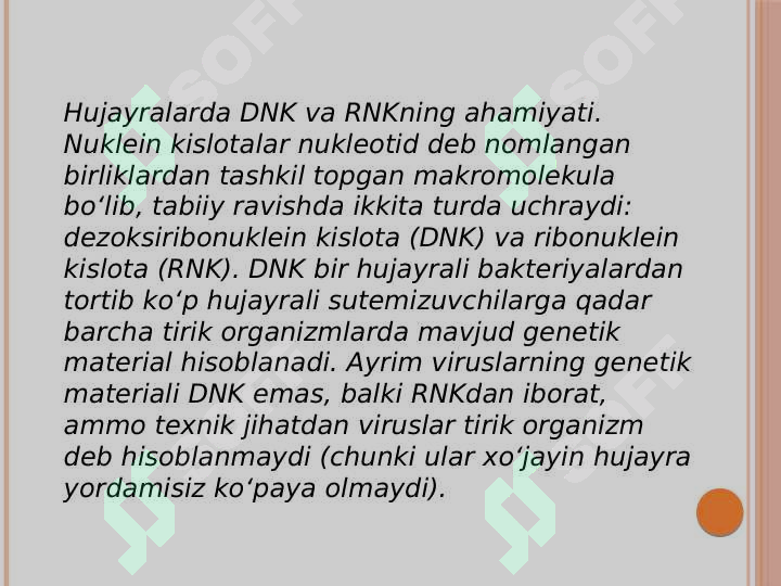 Preview 8