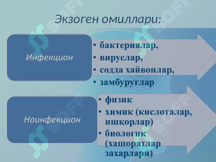 Preview 8