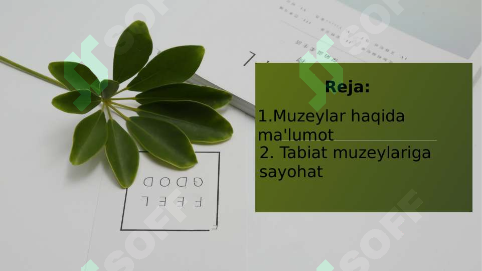 Preview 2