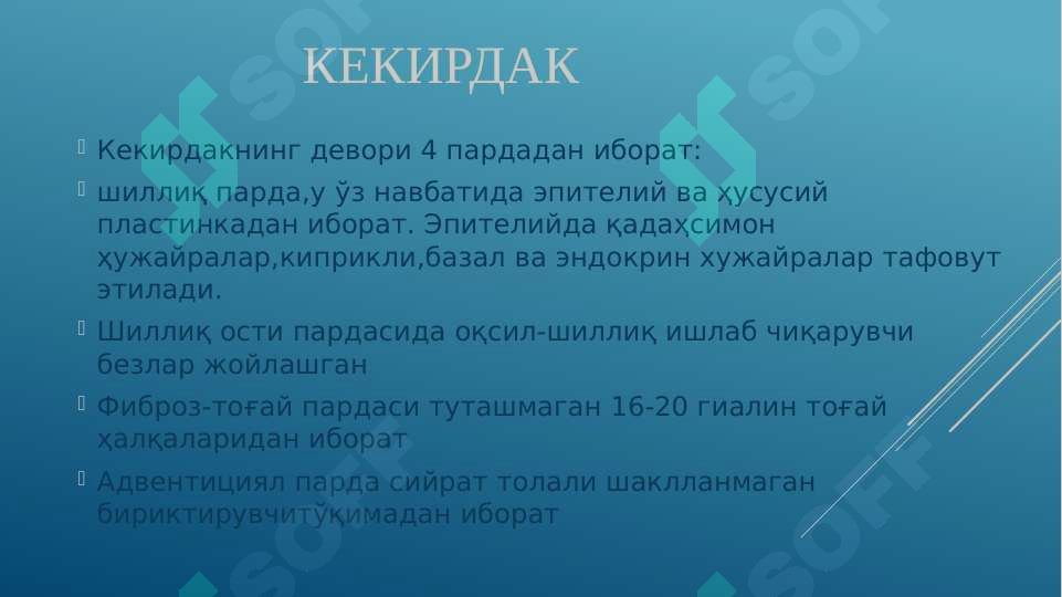 Preview 8
