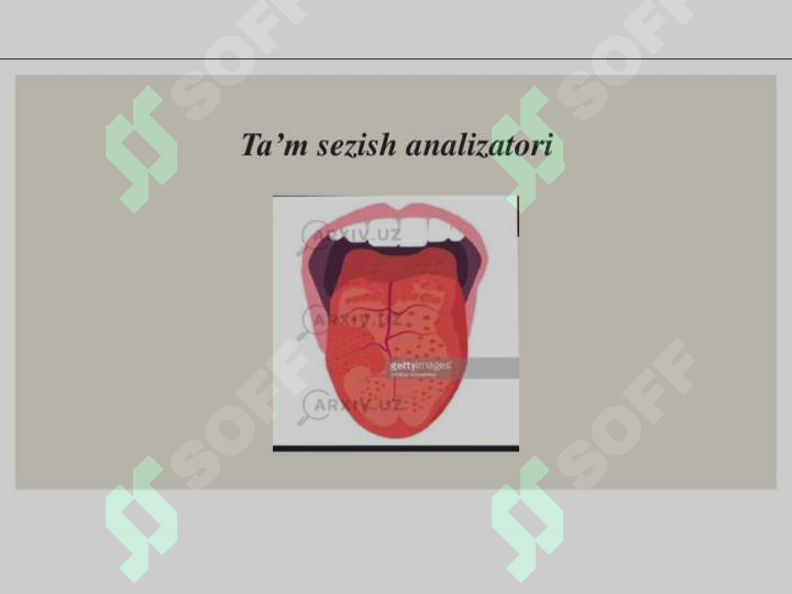 Preview 8