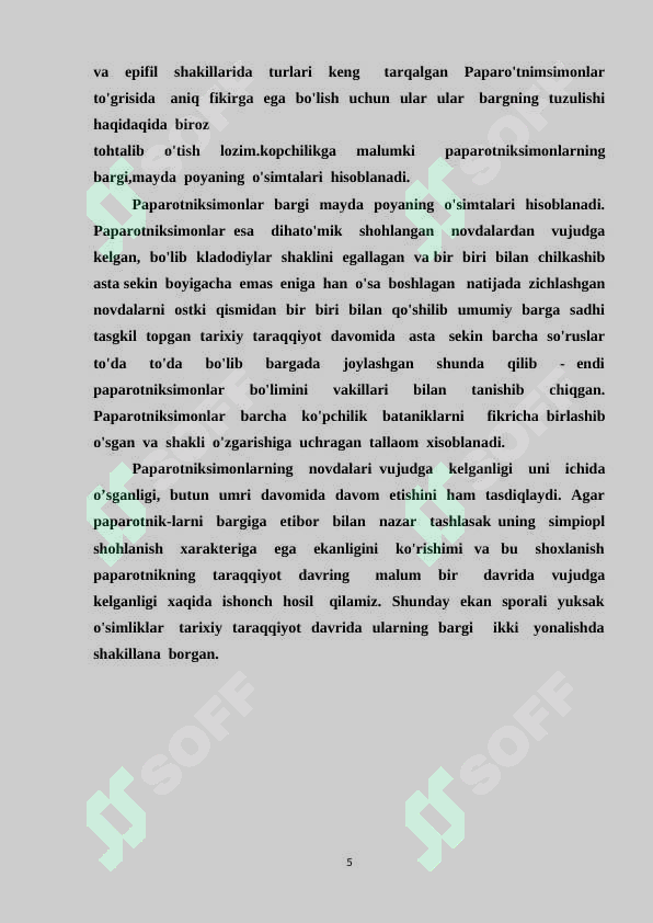 Preview 5