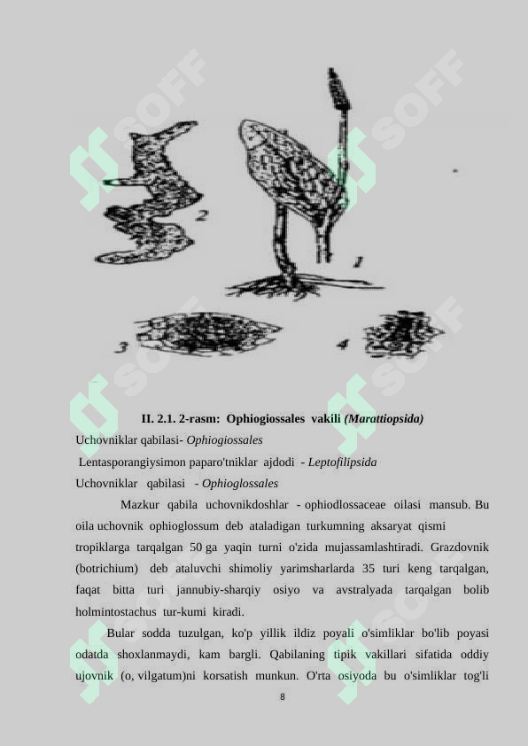 Preview 8