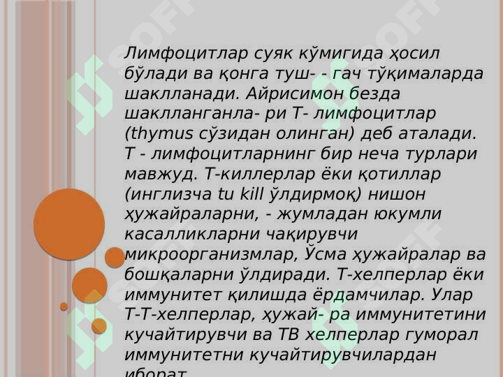 Preview 8