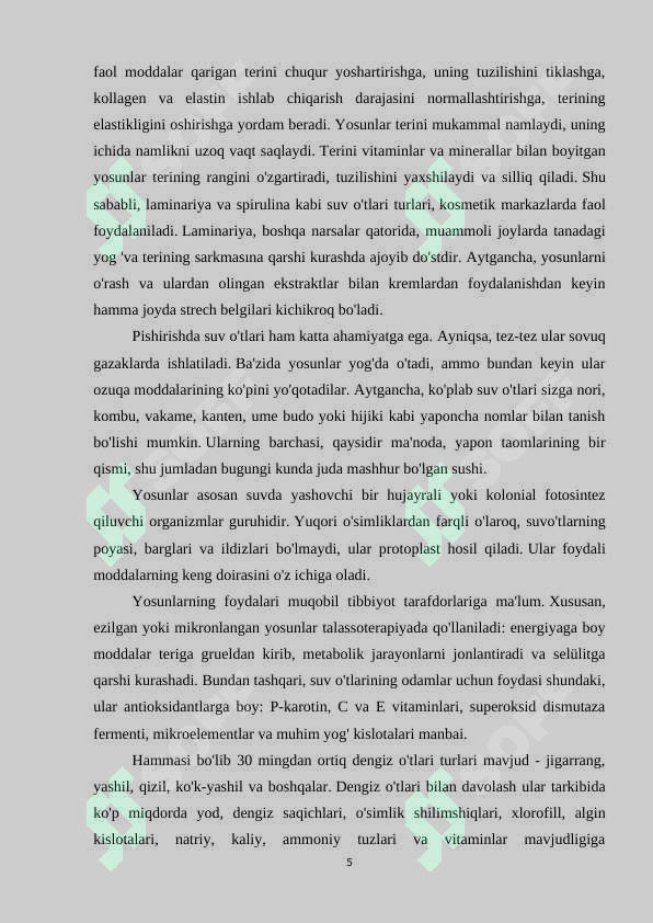 Preview 5