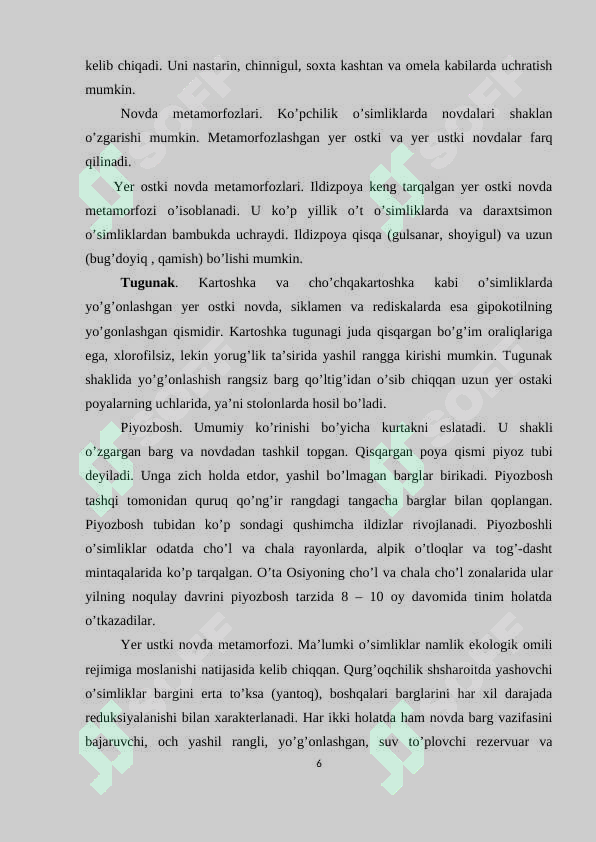 Preview 6