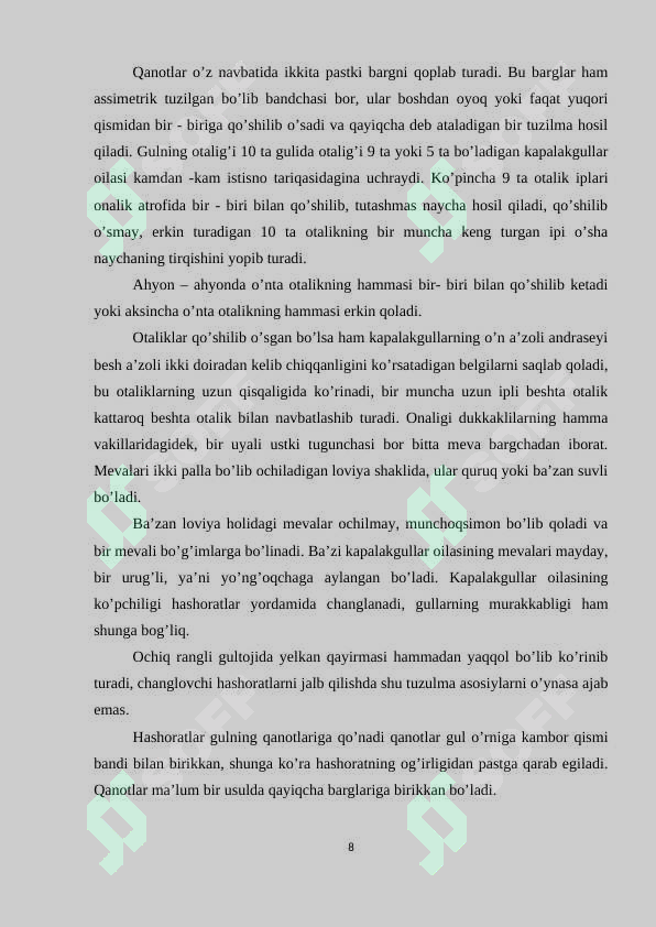 Preview 8