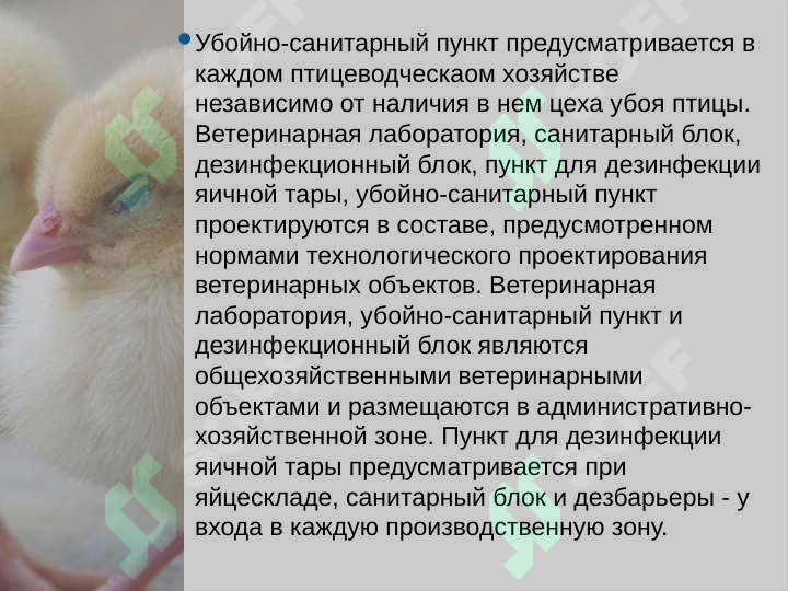 Preview 8