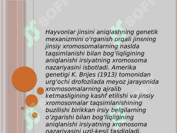 Preview 7