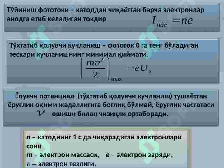 Preview 5