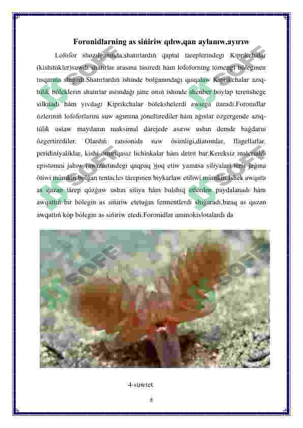 Preview 8