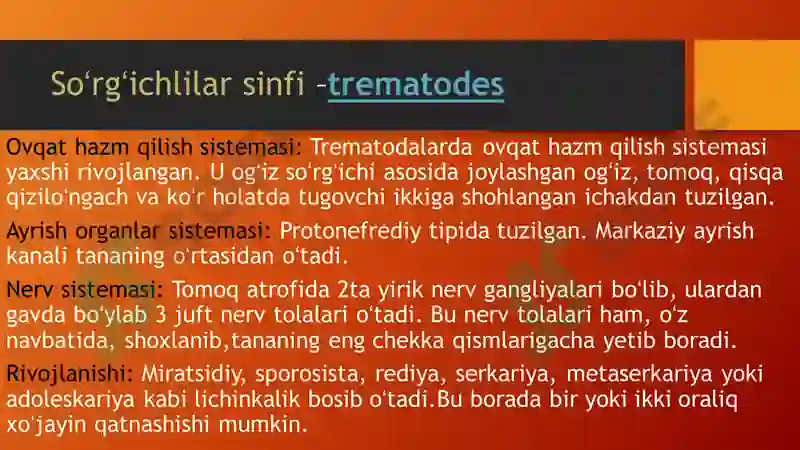 Preview 6
