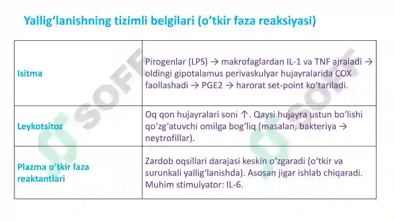 Preview 7