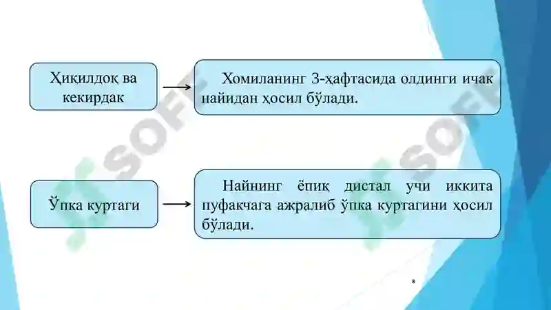 Preview 8