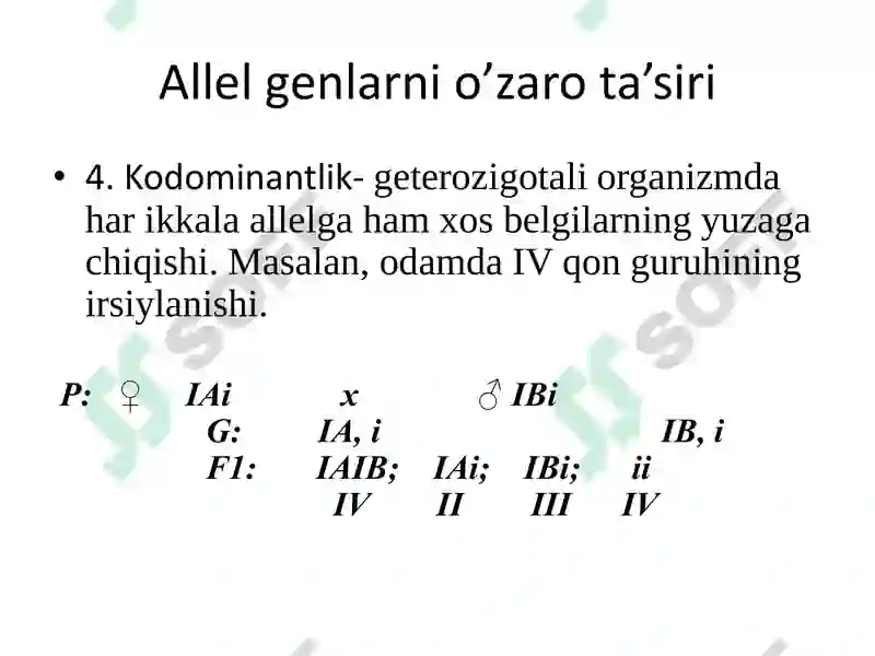 Preview 8