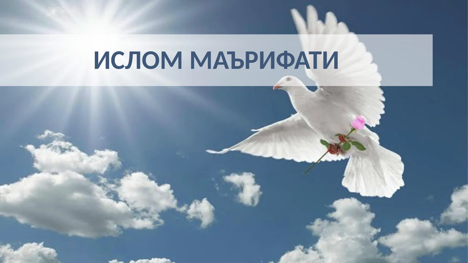 Preview 1