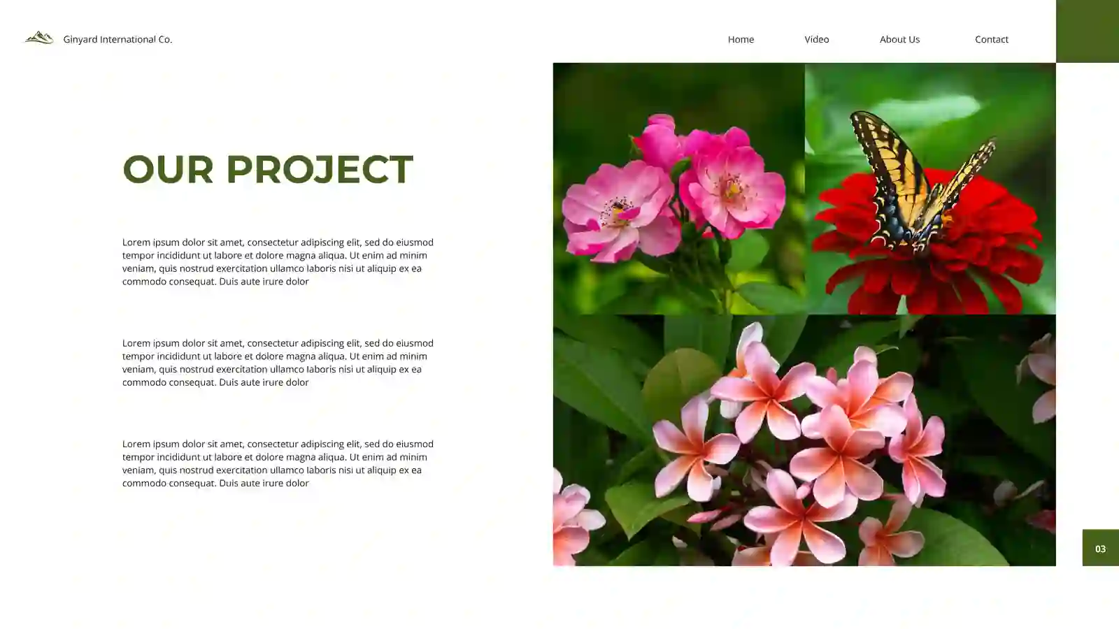 Preview 3