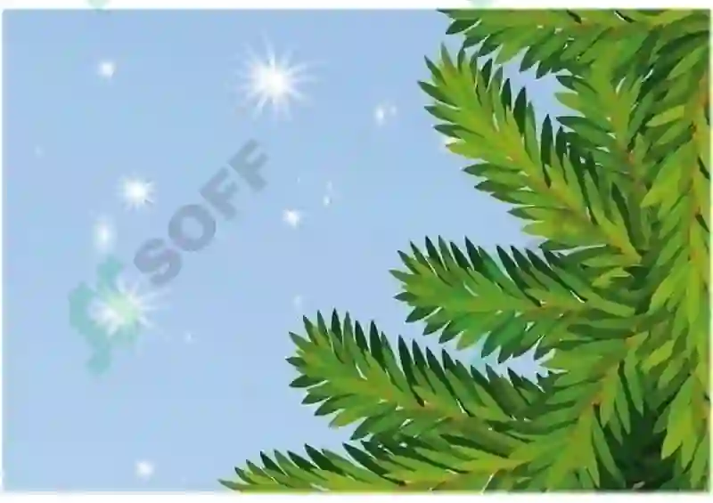 Preview 3