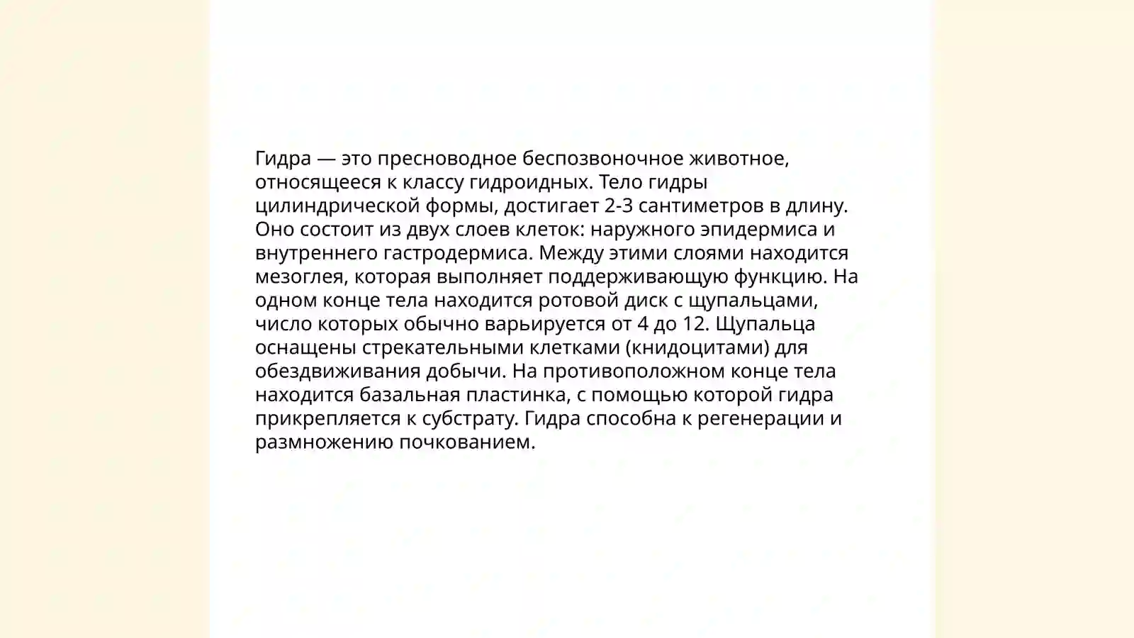 Preview 4