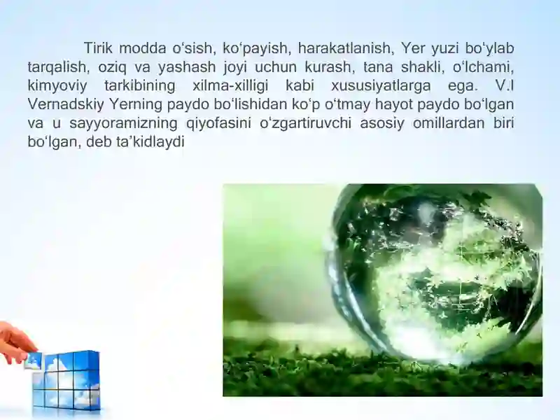 Preview 4
