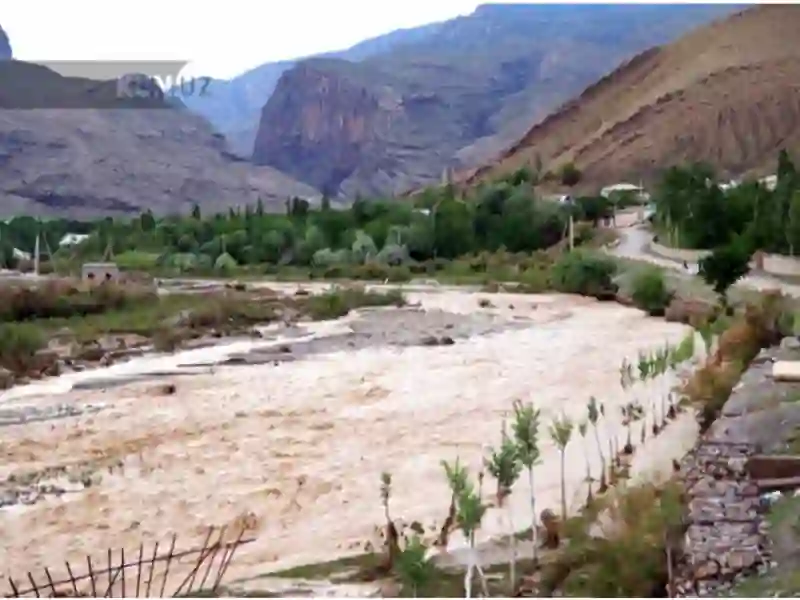 Preview 4