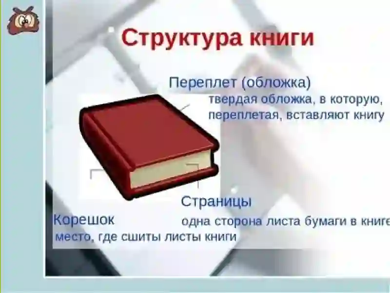 Preview 4