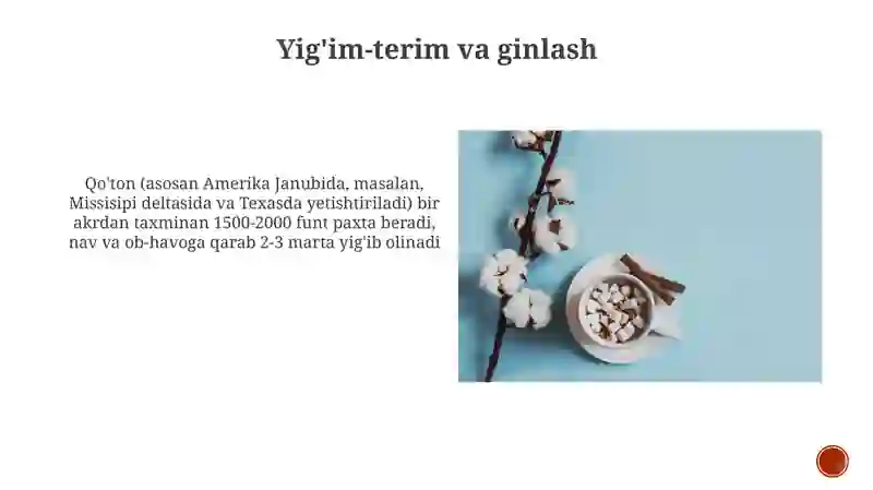 Preview 4