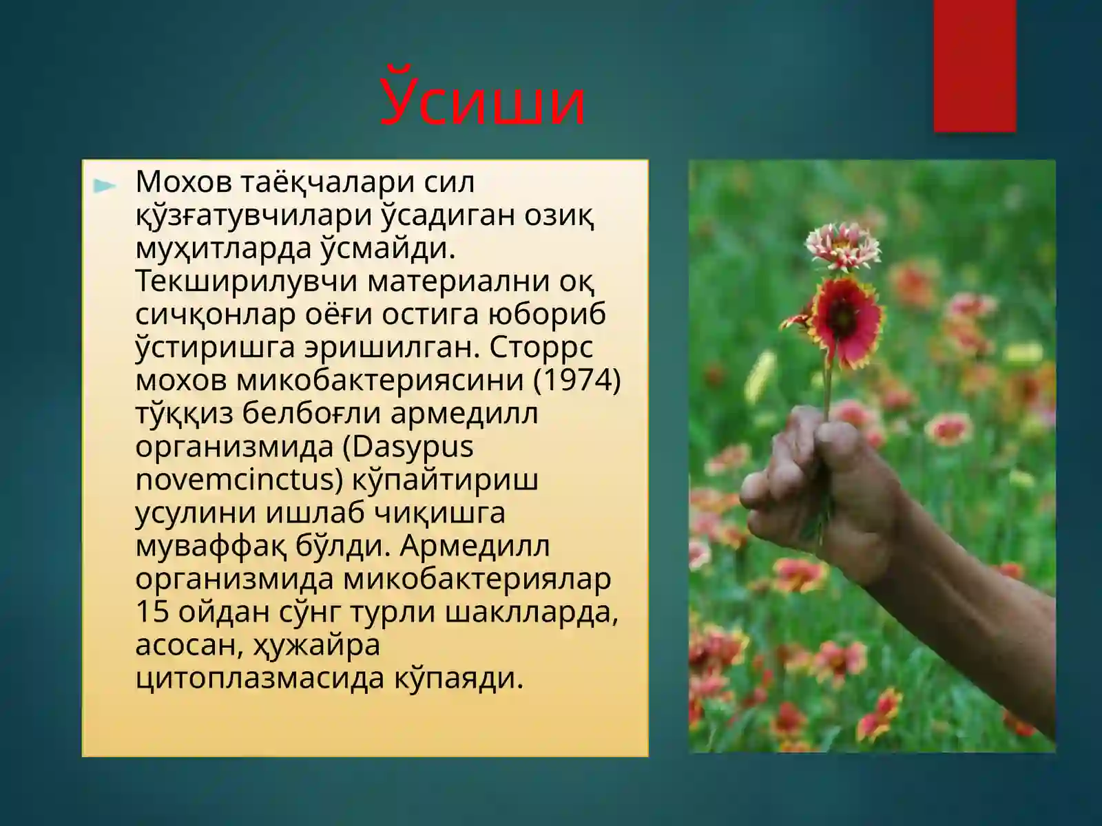 Preview 4