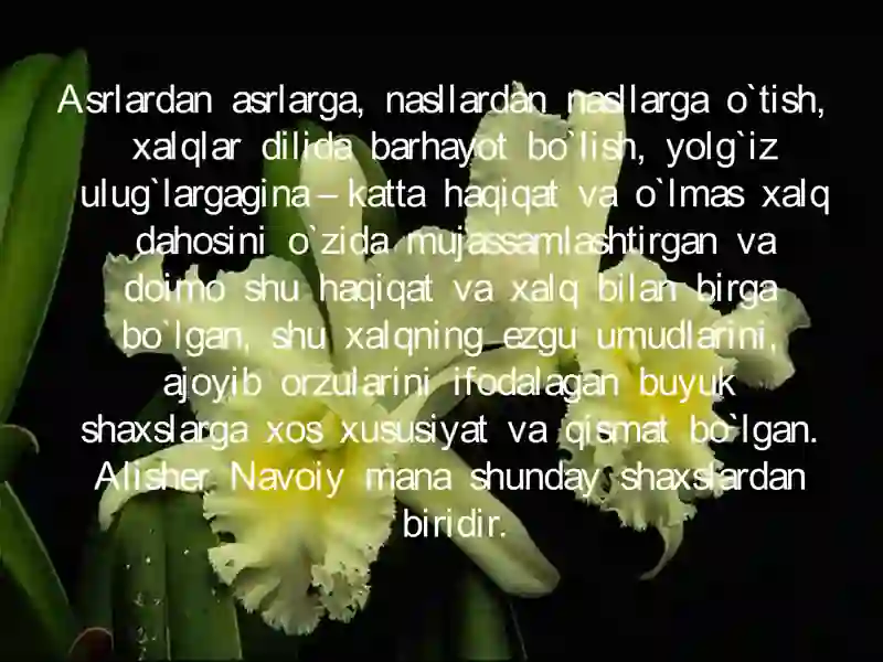 Preview 4